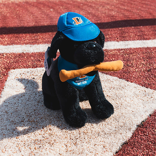 All Star Dogs: Durham Bulls Pet Products